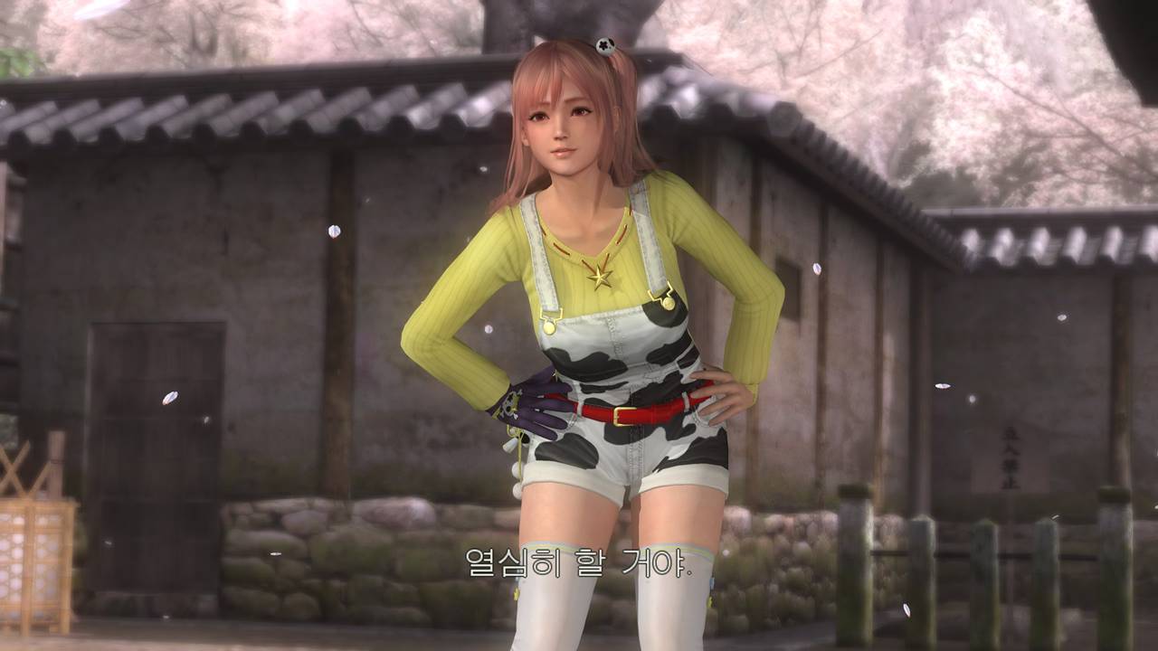 데드 오어 얼라이브 5 라스트 라운드