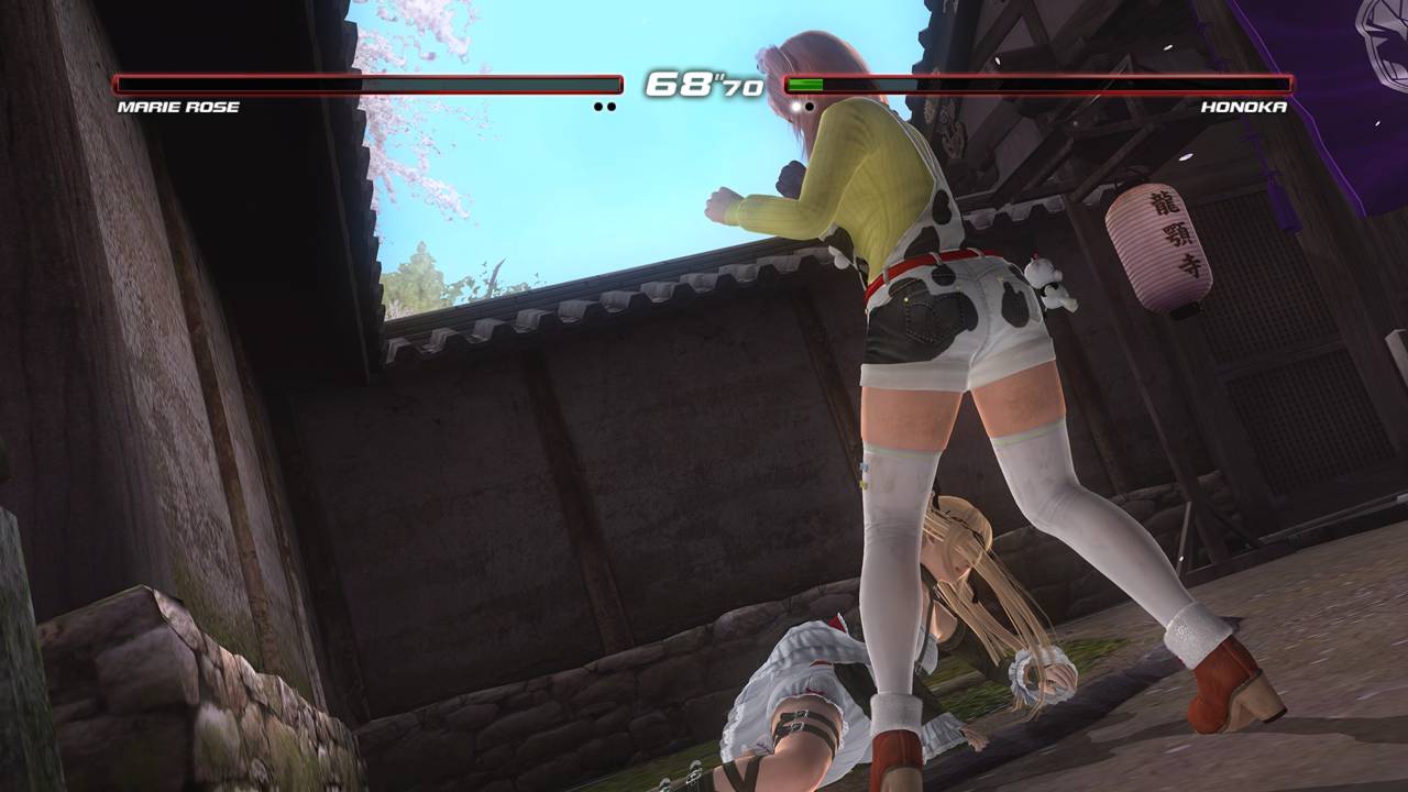 데드 오어 얼라이브 5 라스트 라운드