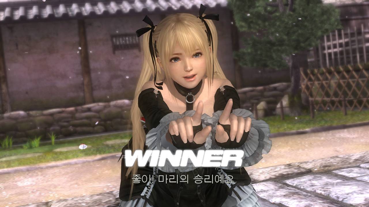 데드 오어 얼라이브 5 라스트 라운드